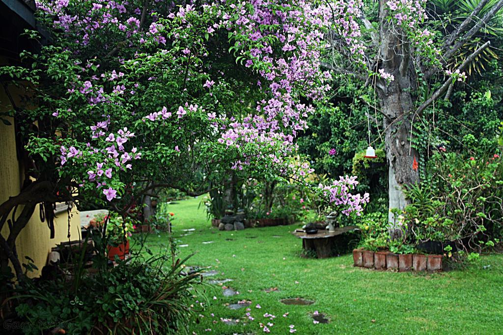 Hostal Saint Mary'S Tababela Exteriör bild